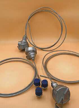 WIKA TR10-0 Industrial RTD Assembly 2x Pt100
