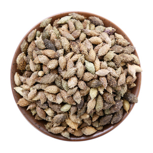 仙太医苍耳子中药材500g克牛虱子胡苍籽正品野生苍耳子另有辛夷花