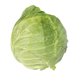 甘蓝种子种籽苗蔬菜秧苗包菜种孑大菜苗大头菜包心菜秧苗子圆白菜