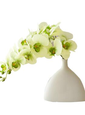 蝴蝶兰仿真花手感保湿餐桌花摆件