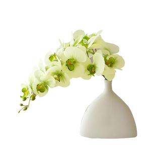 手感保湿蝴蝶兰仿真花假花桌面摆设轻奢高端插花餐桌花艺摆件装饰