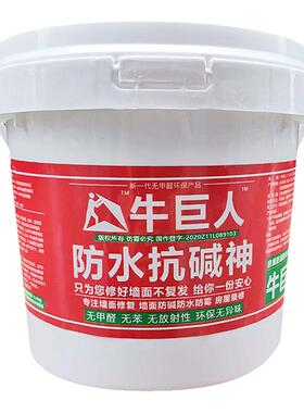 内墙渗水返潮墙贴墙壁防水霉防碱