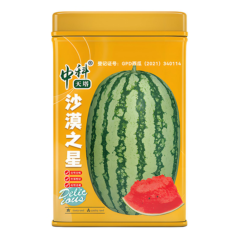 沙漠之星西瓜种子水果种子