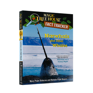 神奇树屋小百科#42 Narwhals and Other Whales 英文原版经典冒险小说Magic Tree House Fact Tracker儿童课外阅读趣味初级章节书