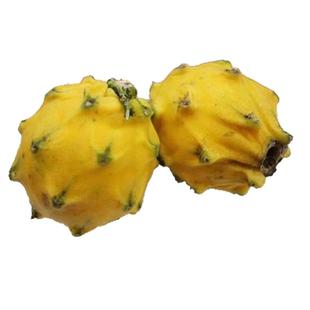 海南麒麟燕窝果当季孕妇黄皮火龙果非马来西亚进口新鲜黄金燕窝果