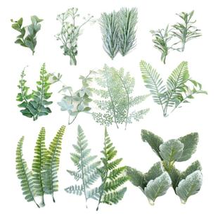 仿真绿色叶子 水草玫瑰叶婚庆花墙装饰胸花手腕花配件diy手工辅料