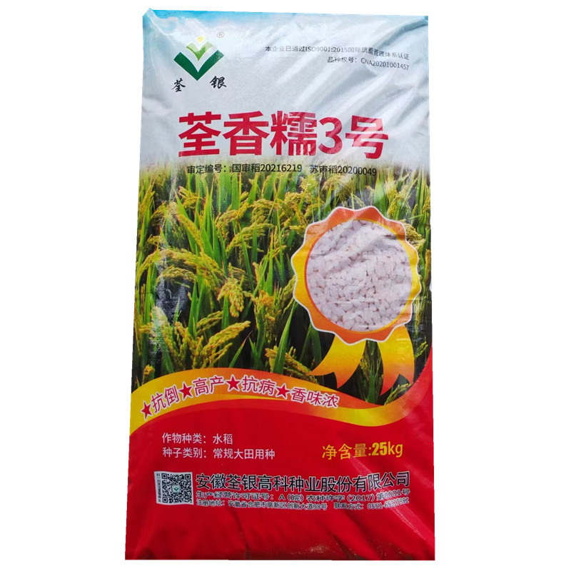 可留种国审水糯稻种子荃香糯3号