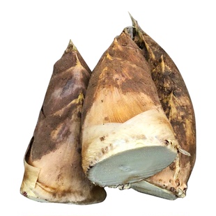 浙江毛笋春笋新鲜现挖现发蔬菜鲜笋毛竹笋黄泥冬笋火锅配菜去老根