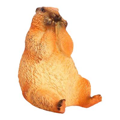 儿童玩具仿真实心野生动物塑胶模型土拨鼠旱獭小松鼠早教认知摆件