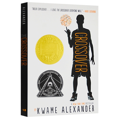 英文原版小说乔希的球场