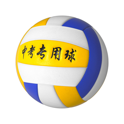 【中考训练专用】软式气排球