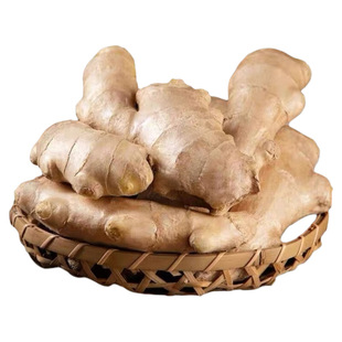 地头价正宗山东生姜大姜3斤/5斤新鲜农家老黄姜月子干姜农家种植