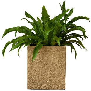 掬涵轻奢高级感方形镁泥花盆大型绿植盆栽花器室内客厅落地装饰品