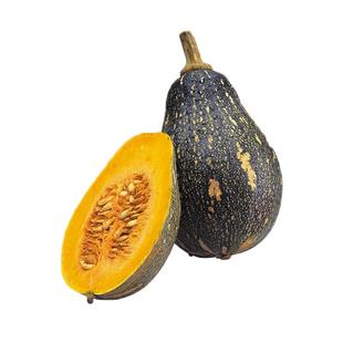 甜面大南瓜 巨型36斤春季抗病抗旱皮薄肉厚甘面超甜 绿皮南瓜种子