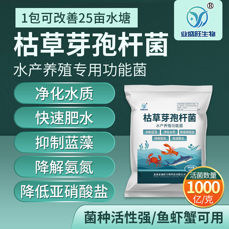 水产枯草芽孢杆菌净化水质降解亚硝酸盐肥水降解氨氮除蓝藻