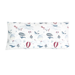 氧家宝宝儿童专用枕头夏季a类3-6-8-10-12岁荞麦枕头护颈椎助睡眠