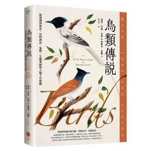 预售【外图台版】鸟类传说 从羽翼到寓意 鸟的神话 象征 生态奥祕与人类千年想象 / 瑞秋.华伦.查德, 玛丽安.泰勒 日出出版