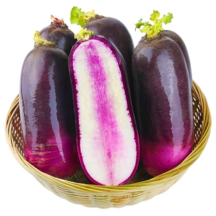 冰淇淋水果萝卜9斤冰激凌红冰糖心甜脆水果生吃非凤梨潍坊青萝卜