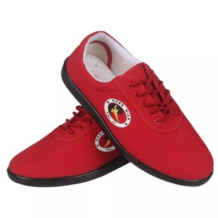 红棉太极鞋帆布春夏季男女儿童武术鞋练功鞋太极拳加厚软底功夫鞋