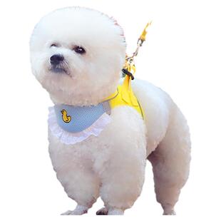 狗狗牵引绳防爆冲狗胸背带遛狗绳比熊狗胸背猫绳防挣脱口水巾狗绳