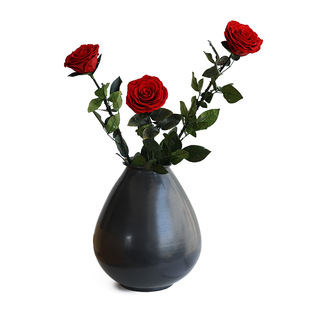 红色玫瑰永生花干花高级感真花天然干花花束客厅插花生日礼物送人