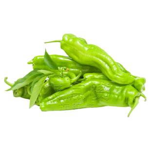 薄皮椒种籽辣椒种子中辣皱皮椒种孑辣椒籽阳台盆栽四季种植青菜椒