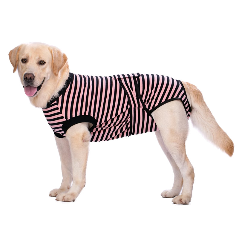宠物狗生理裤中大型犬母狗月经裤大狗连体包屁股防骚扰胖狗安全裤