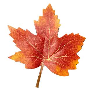 红枫叶发夹仿真树叶子侧边儿童边夹刘海卡子可爱有趣氛围感头饰夏