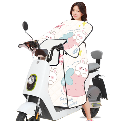 亲子电动车挡风防晒罩