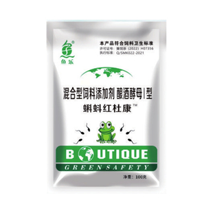 水产养殖牛蛙蝌蚪红肚康黑斑蛙林蛙蝌蚪肠胃涨肚白体红体浮水鱼乐