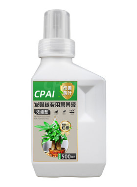 发财树营养液治黄叶让您天天发财