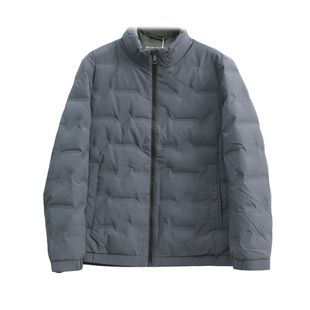 高端线 90鸭绒+压胶分仓 防风防泼水 秋冬男士时尚立领保暖羽绒服