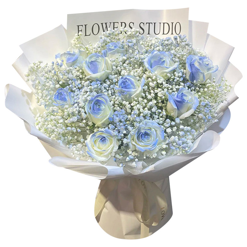 碎冰蓝满天星玫瑰鲜花束生日表白鲜花速递(同城)