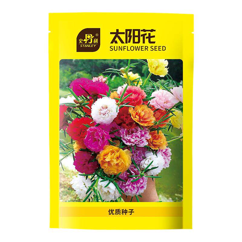 ʷ���� ̫�������� 2����/�� �������� ��ѿ�ʸ� 8.71Ԫ