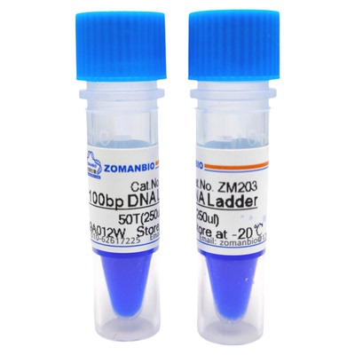 100bp DNA Ladder DNA Marker