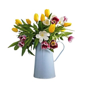 海蒂的花园旗舰店原生郁金香种球可复花多年生花卉球根阳台庭院