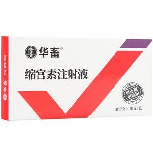 华畜兽药缩宫素注射液兽用母猪催产针母畜用催产素促下胎衣牛羊药