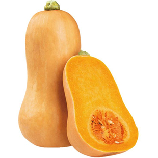 奶油南瓜种子种籽迷你超甜瓜孑小桔瓜籽种春秋季贝贝蔬菜种孑子