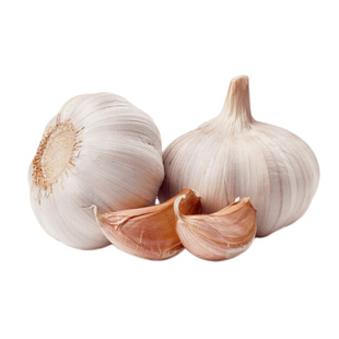 有机大蒜新鲜应季白皮干蒜新大蒜头生吃炒炖菜农家健康无农残蔬菜