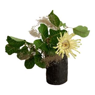 Paseo｜现货 藏区黑陶直筒直身水杯咖啡杯茶杯茶具小花瓶花器手工