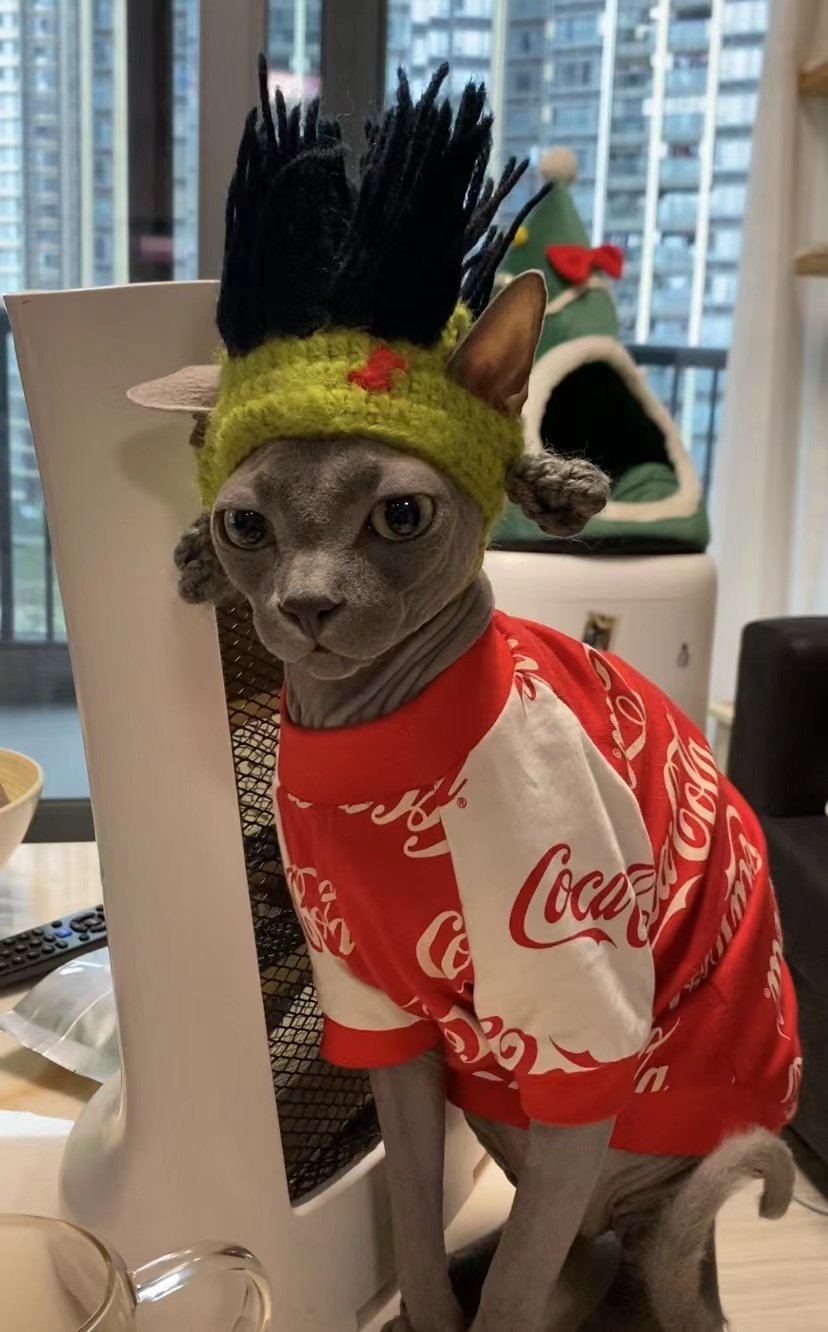 朋克风猫咪搞怪帽子无毛猫斯芬克斯猫头套狗狗搞笑摇滚装饰变装帽