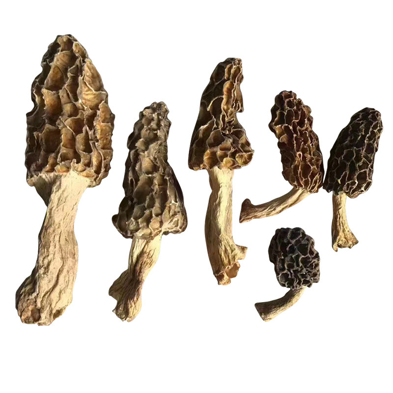 羊肚菌干货500g野生多种规格