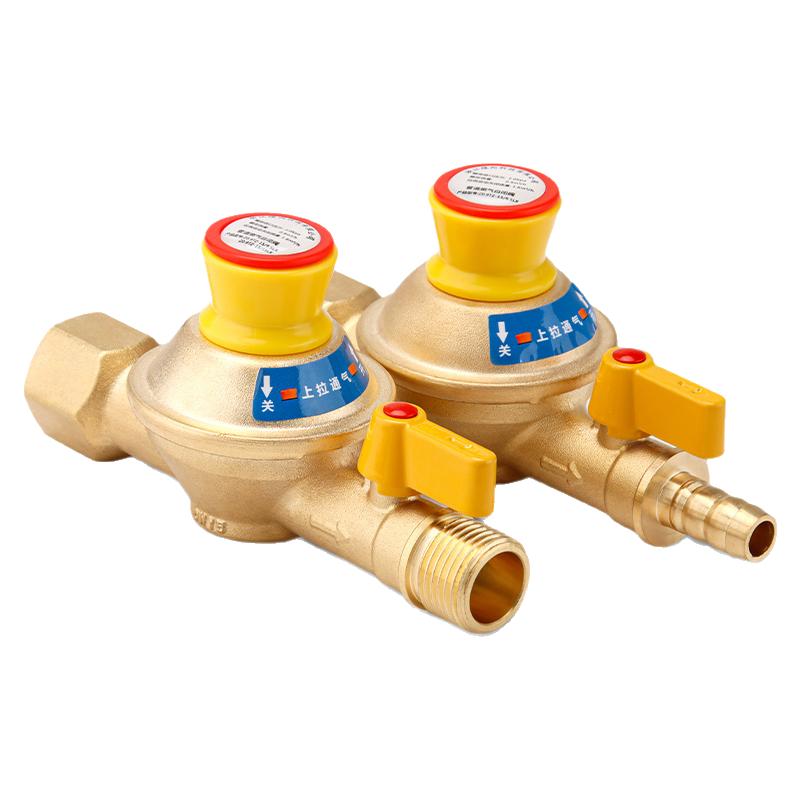 家用天然气燃气管道自闭阀漏气自动断气保护泄露防漏超压安全阀门