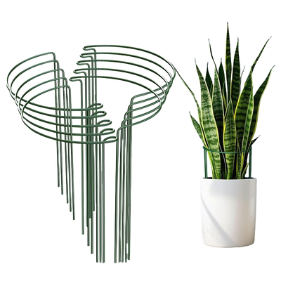 铁艺半圆护叶花架防倒伏聚拢