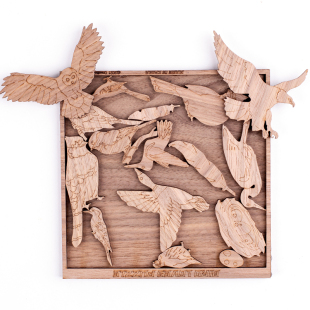 新款飞鸟集超越自虐烧脑puzzle超难拼图立方木质成人益智十级难度