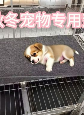 宠物地垫狗垫子防撕咬冬季睡觉用四季通用猫狗窝笼专用毯垫板笼子