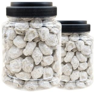 咸话梅盐津酸梅子白话梅500g即食泡水泡可乐雪碧泡红酒话梅猪手