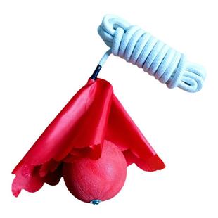 九节鞭训练绳百家鞭纯棉绳鞭软兵器中老年健身初学双锤橡胶流星锤