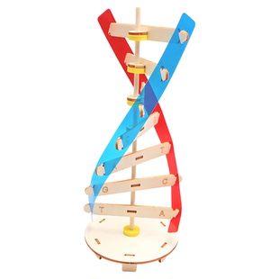 DNA双螺旋结构模型科技小制作手工diy人体基因生物科学实验器材料