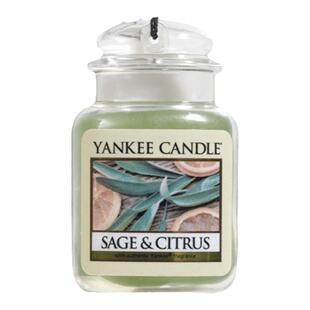 Yankee Candle扬基进口车载香薰汽车香水挂饰祛异味孕婴可用